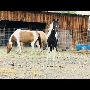 Meet your Posher, Martha